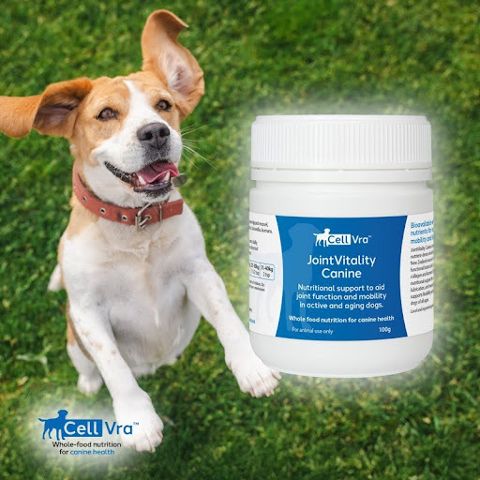 JointVitality Canine