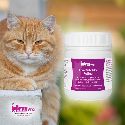 LiverVitality Feline